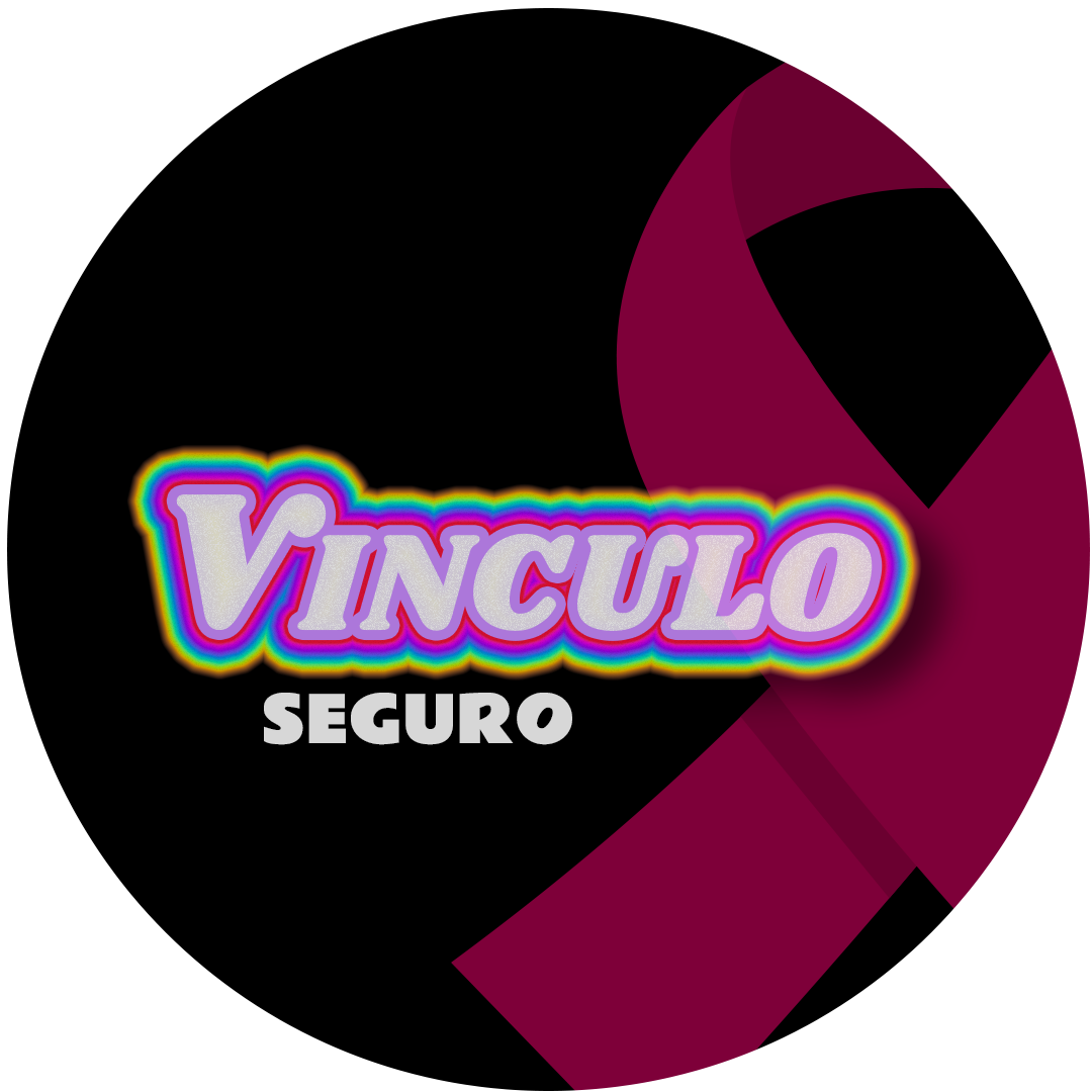 Vínculo Seguro